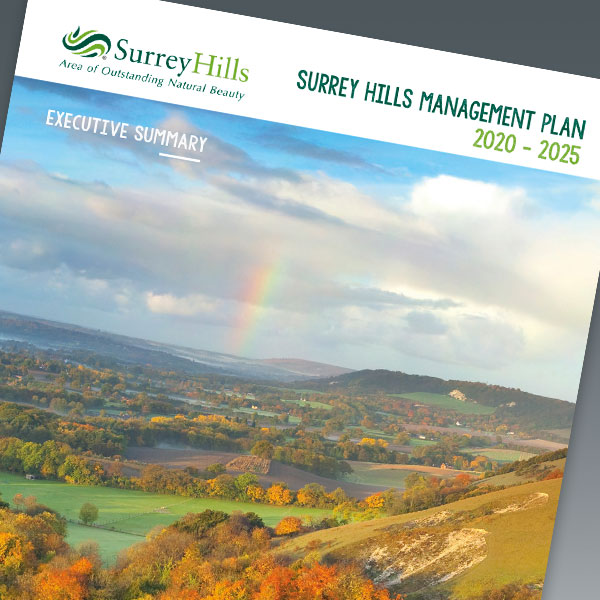 Surrey Hills Management Plan - thumbnail image